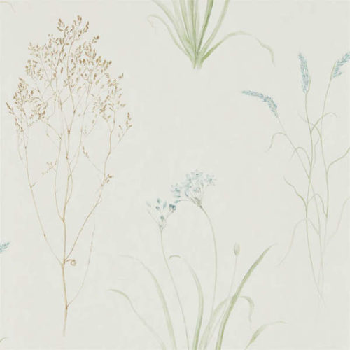 Farne Grasses 216486